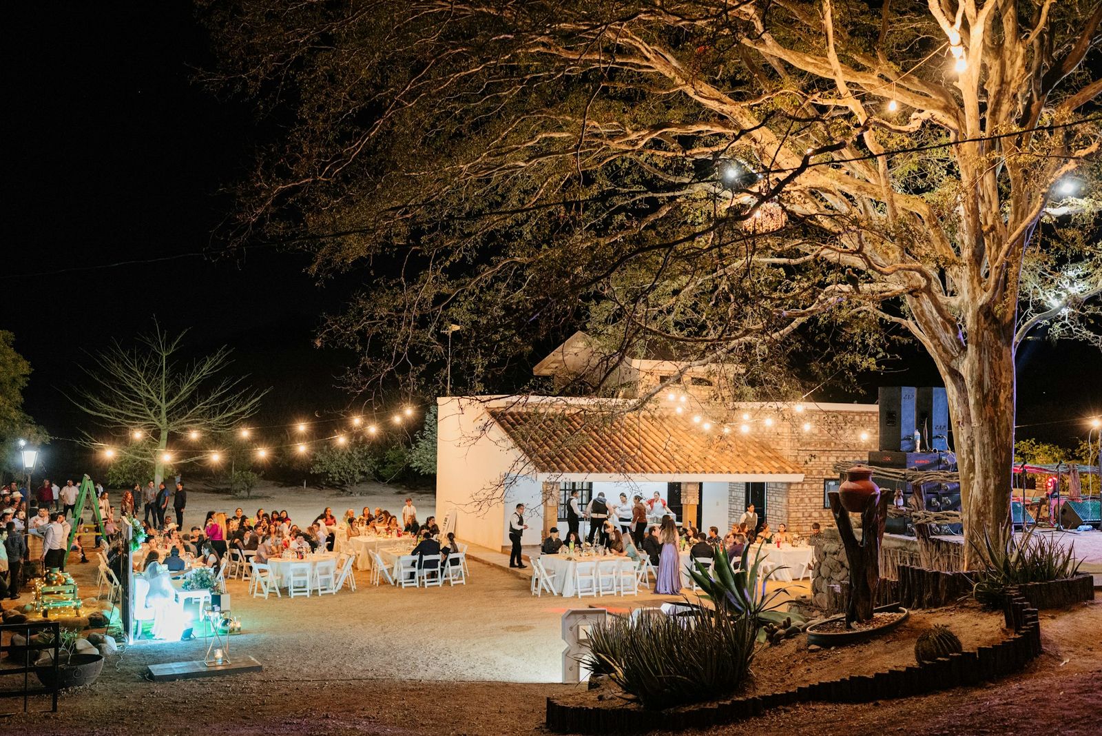 Outdoor evening reception under string lights